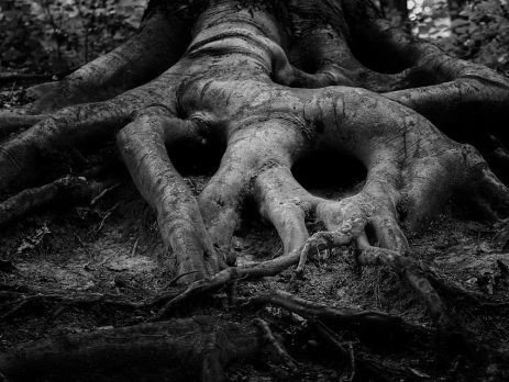 epr-cueillette-macabre - 26167977_1777652798934484_507828129140495898_n.jpg
