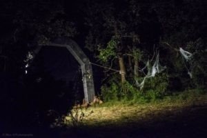 gn-kla-henera-taches-de-sang - arche-nocturne.jpg